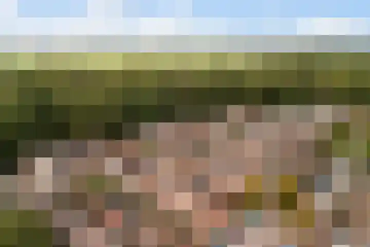 Koraalzwam 21 Alphen aan den Rijn thumbnail 55