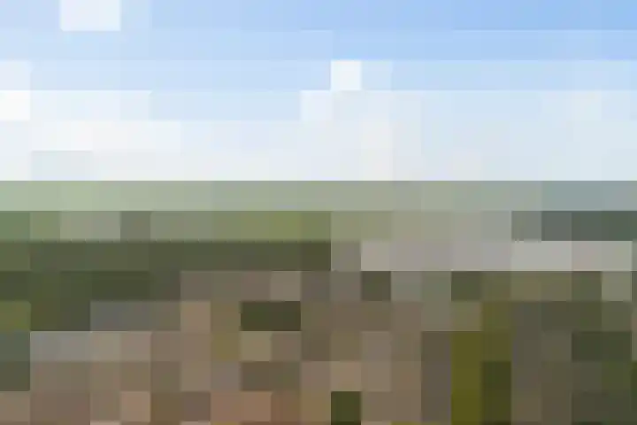 Koraalzwam 21 Alphen aan den Rijn thumbnail 56
