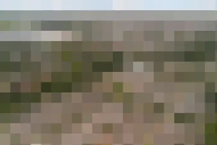 Koraalzwam 21 Alphen aan den Rijn thumbnail 58