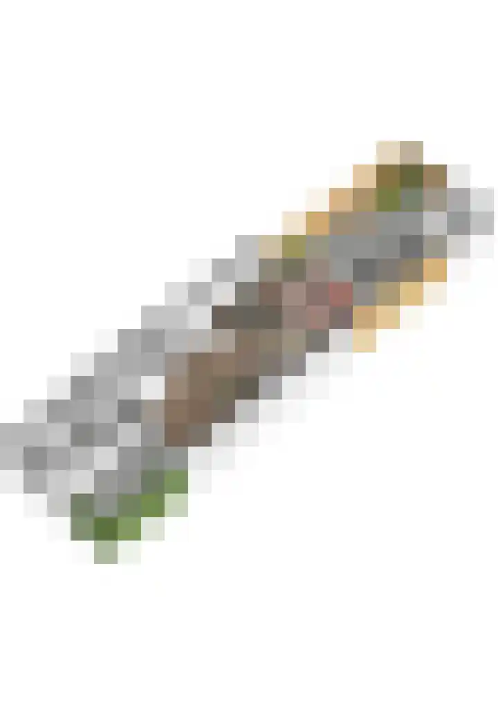 Koraalzwam 21 Alphen aan den Rijn thumbnail 66
