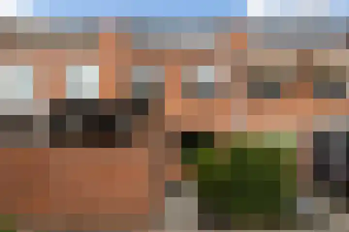 Koraalzwam 21 Alphen aan den Rijn thumbnail 8