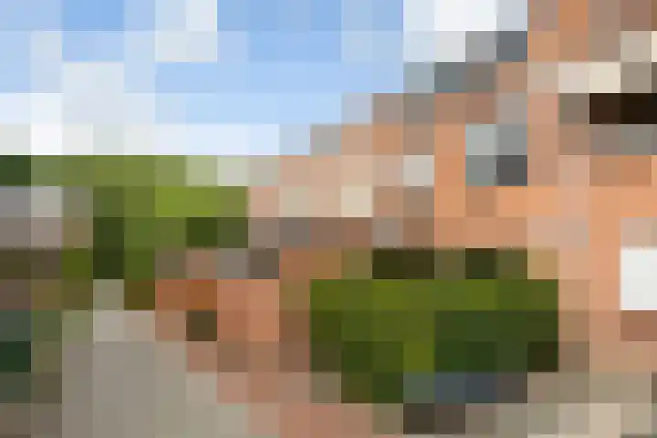 Koraalzwam 21 Alphen aan den Rijn thumbnail 9
