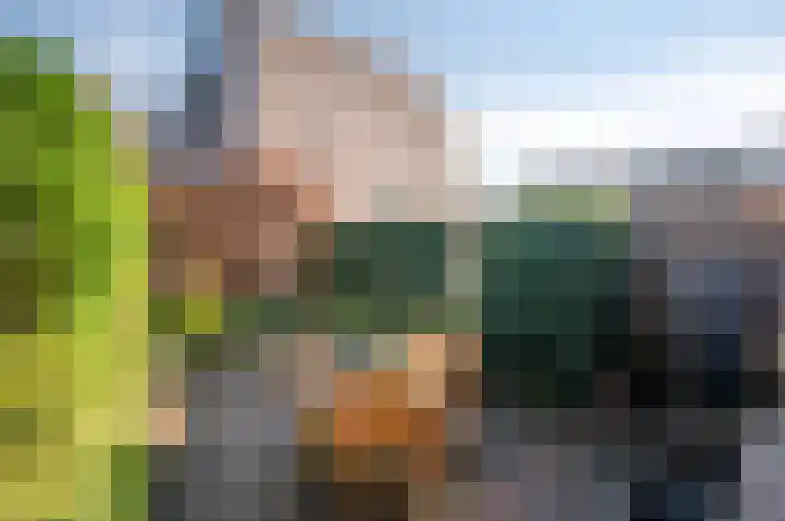 Koraalzwam 93 Alphen aan den Rijn thumbnail 12