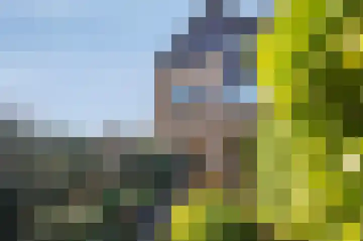 Koraalzwam 93 Alphen aan den Rijn thumbnail 14