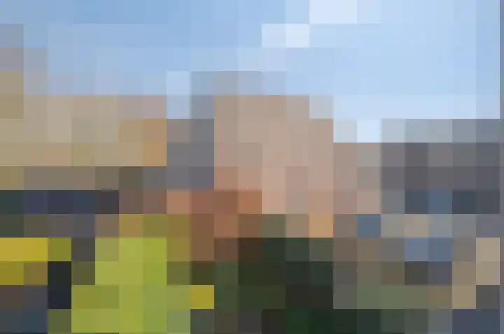 Koraalzwam 93 Alphen aan den Rijn thumbnail 26