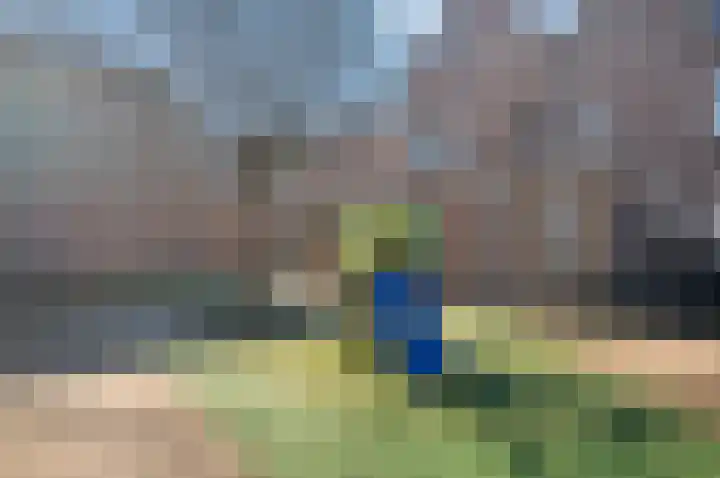 Koraalzwam 93 Alphen aan den Rijn thumbnail 28