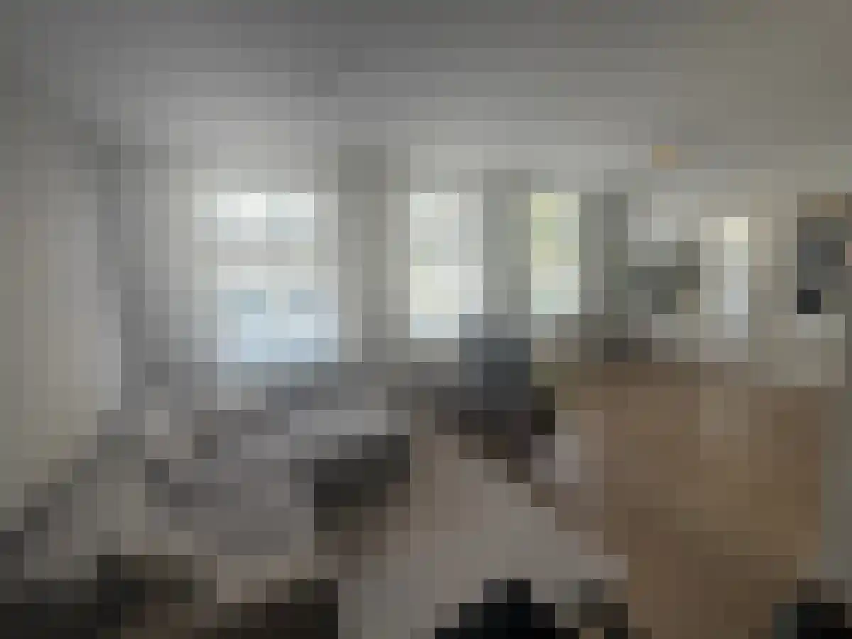 Koralensteeg 3 Haarlem thumbnail 5