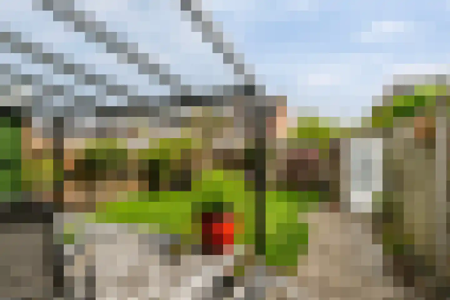 Korbeel 13 Wateringen thumbnail 15