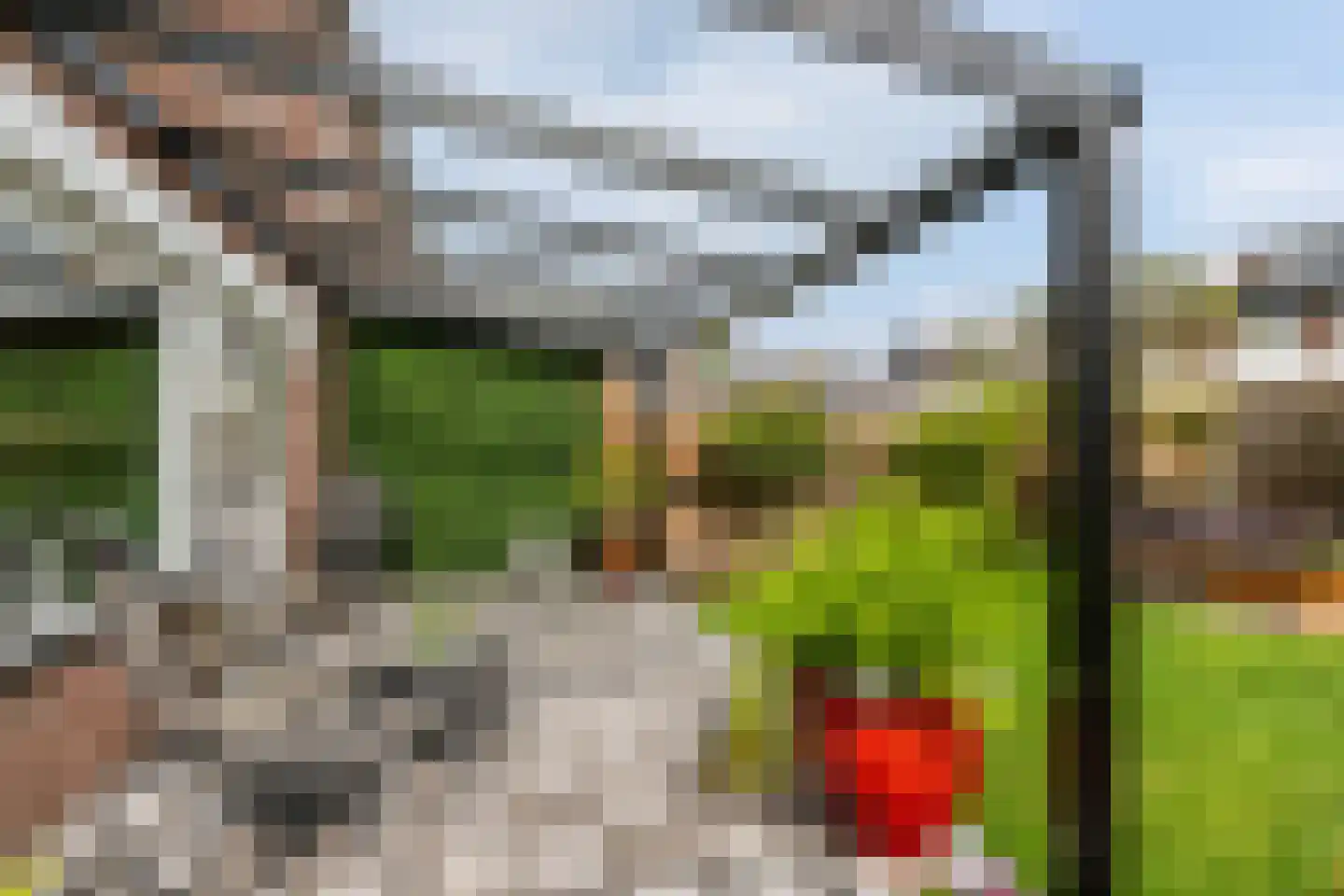Korbeel 13 Wateringen thumbnail 16