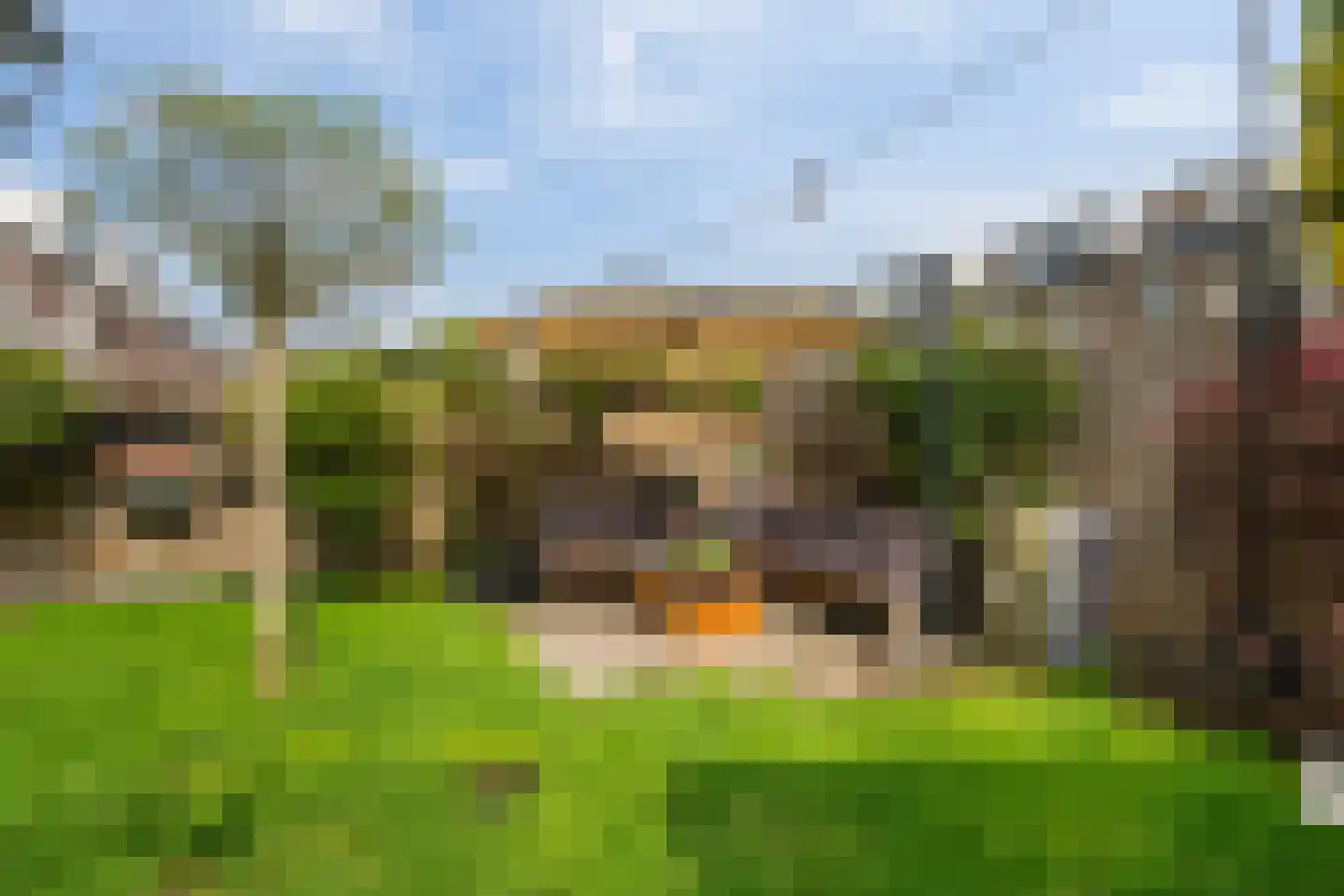 Korbeel 13 Wateringen thumbnail 18