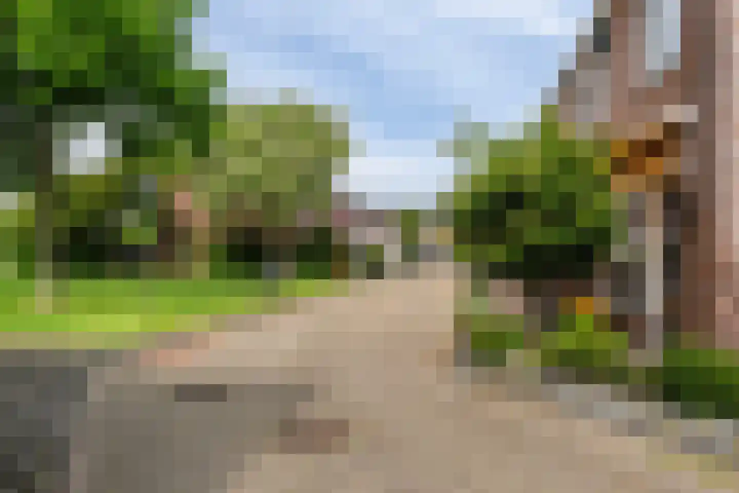 Korbeel 13 Wateringen thumbnail 39
