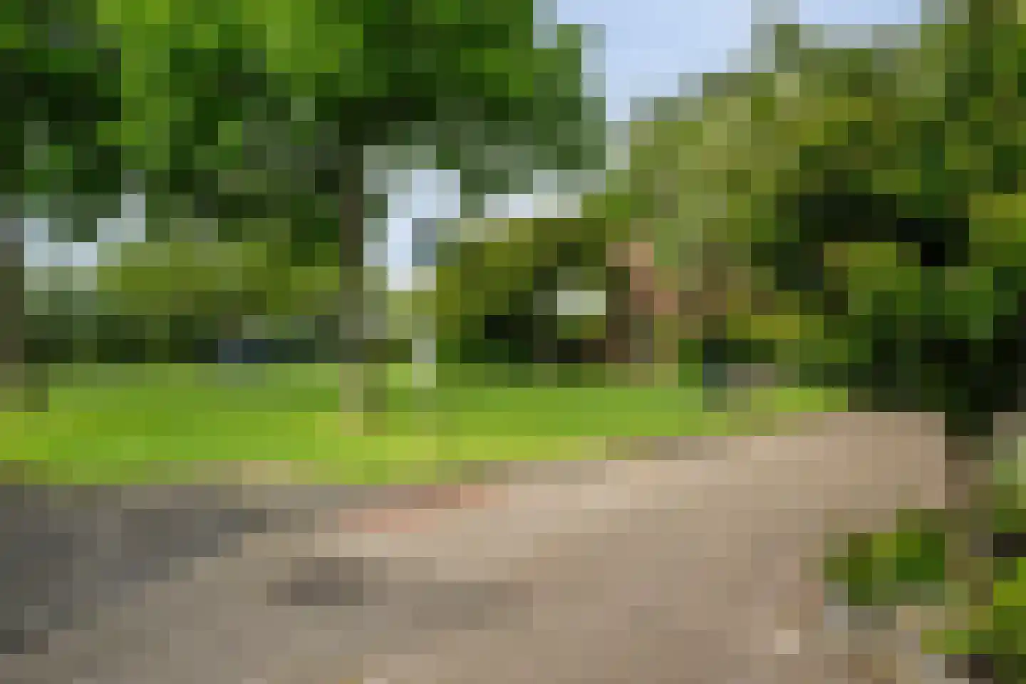Korbeel 13 Wateringen thumbnail 40
