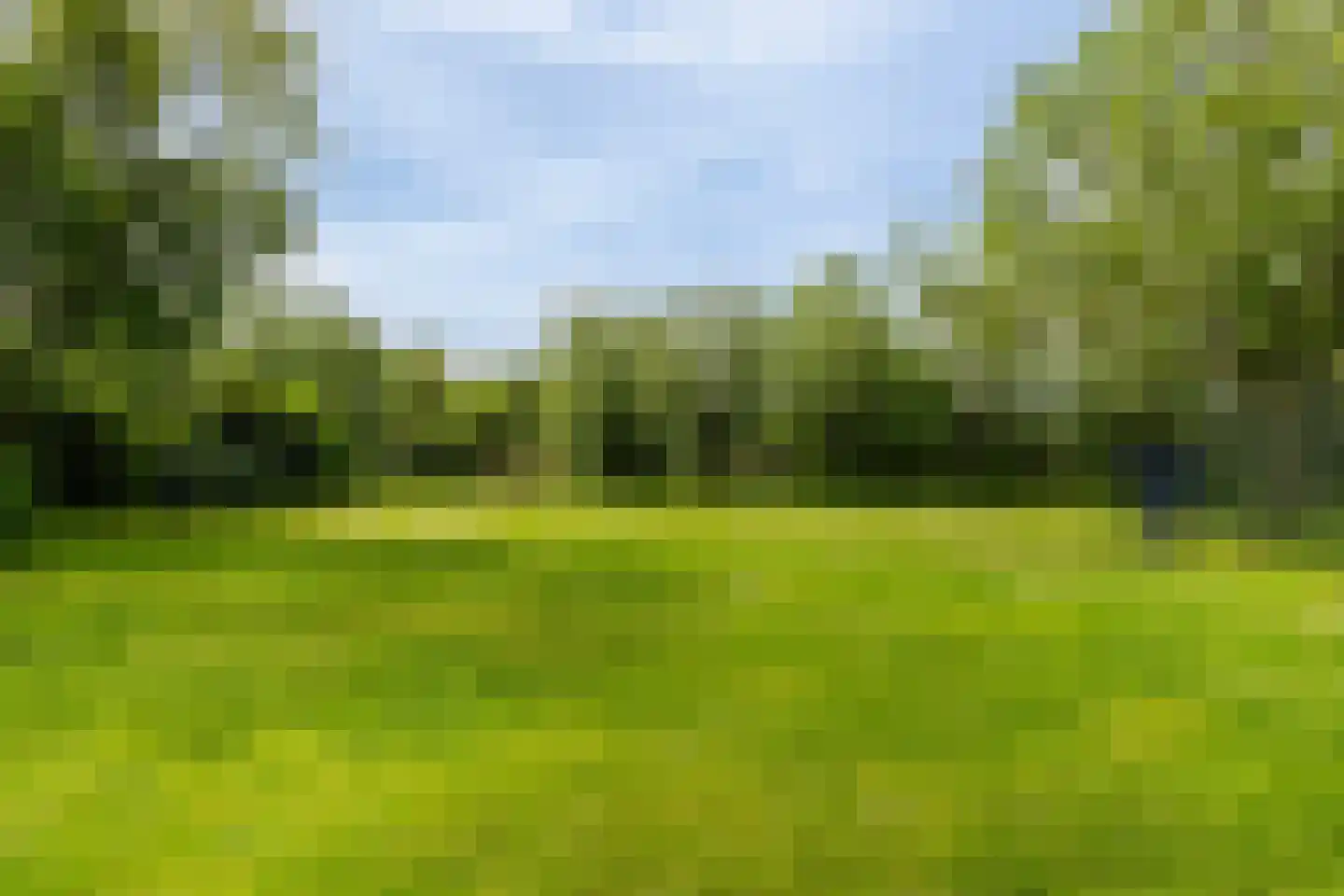 Korbeel 13 Wateringen thumbnail 41