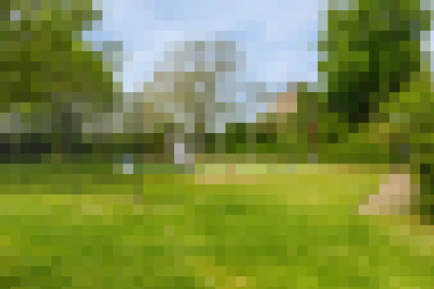 Korbeel 13 Wateringen thumbnail 5