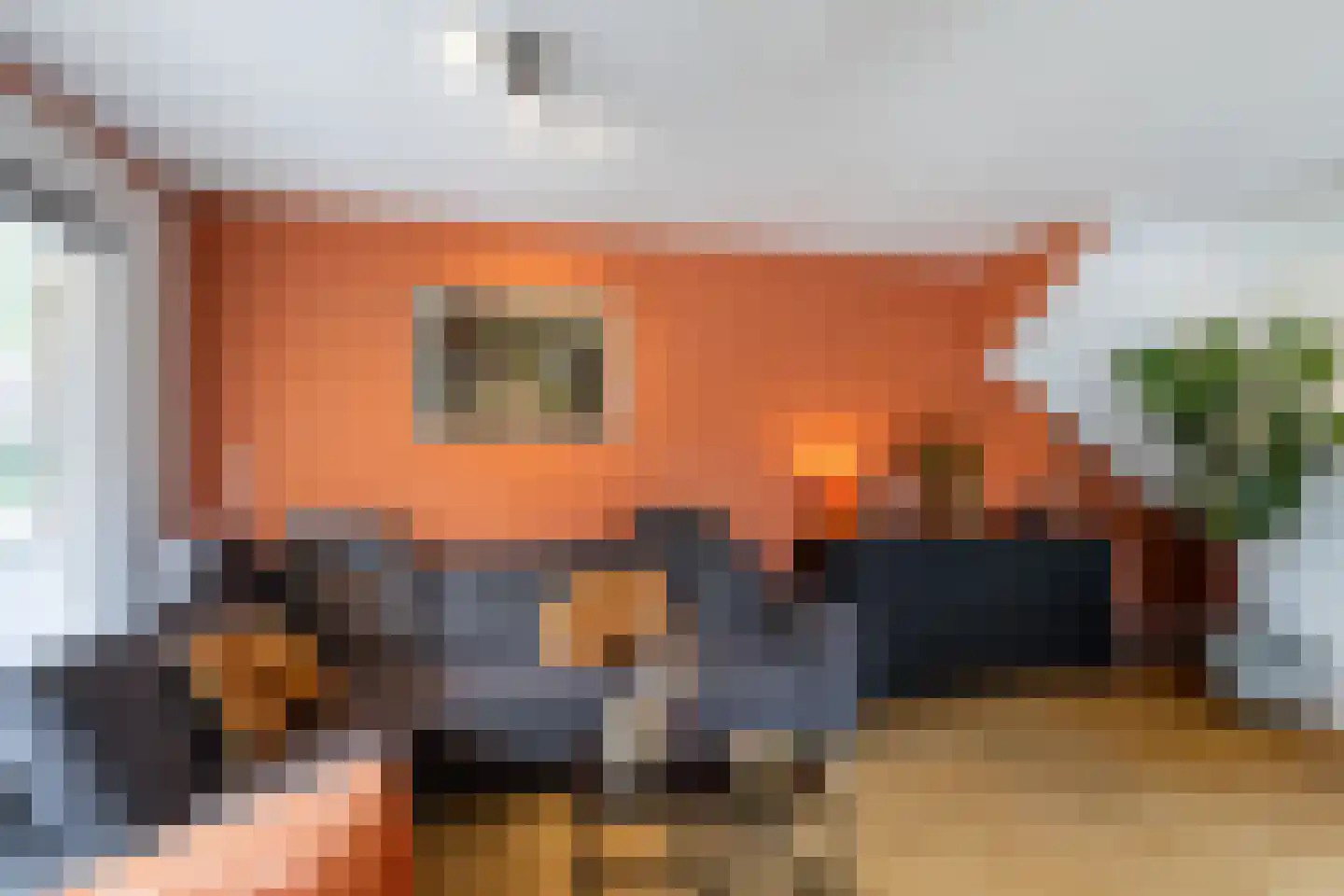 Korbeel 13 Wateringen thumbnail 6