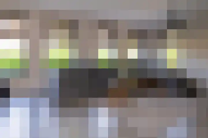 Korbeel 2 Nunspeet thumbnail 10