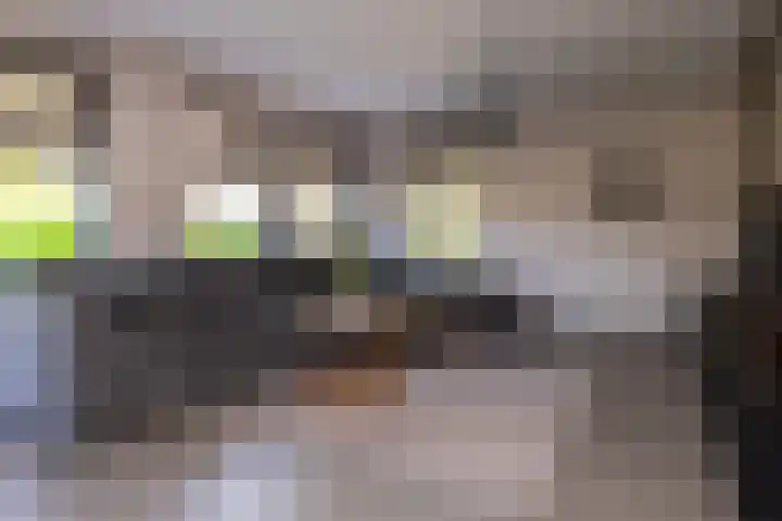 Korbeel 2 Nunspeet thumbnail 11