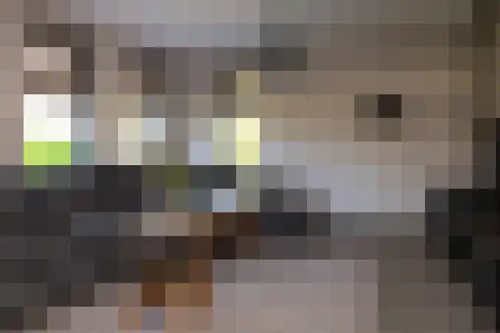 Korbeel 2 Nunspeet thumbnail 12
