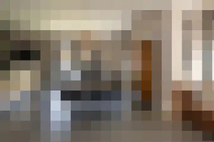 Korbeel 2 Nunspeet thumbnail 16