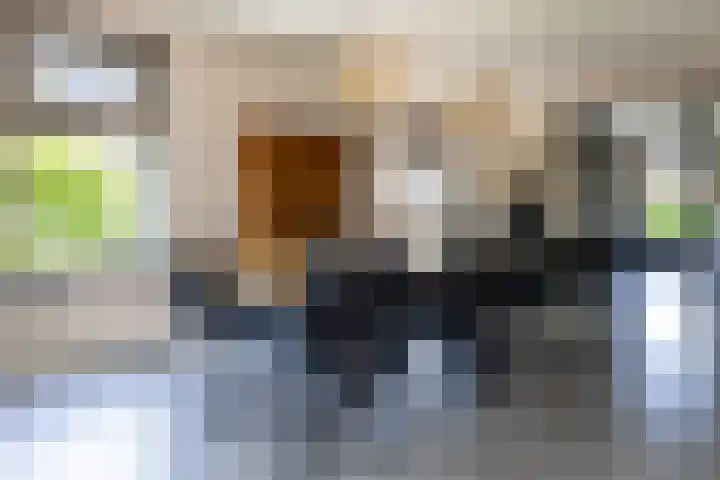 Korbeel 2 Nunspeet thumbnail 18
