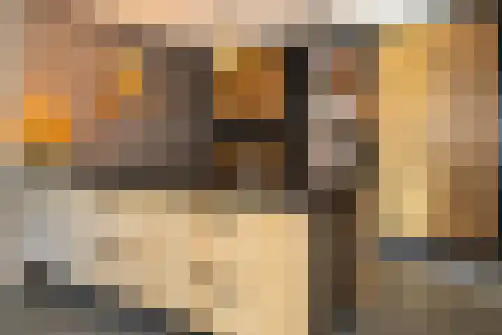 Korbeel 2 Nunspeet thumbnail 19