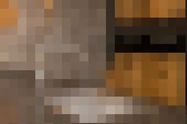 Korbeel 2 Nunspeet thumbnail 21