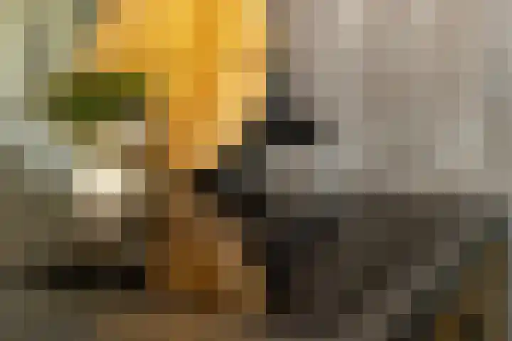 Korbeel 2 Nunspeet thumbnail 22