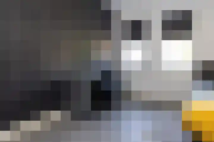 Korbeel 2 Nunspeet thumbnail 33