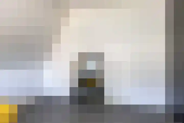 Korbeel 2 Nunspeet thumbnail 34