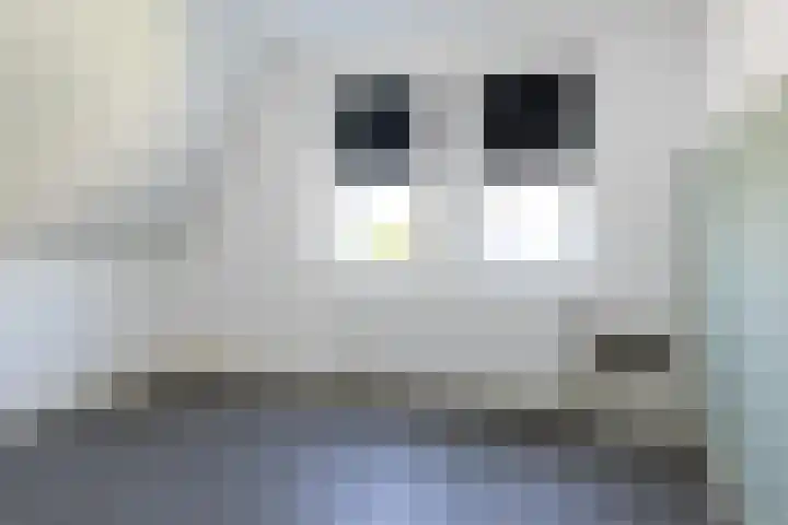Korbeel 2 Nunspeet thumbnail 35