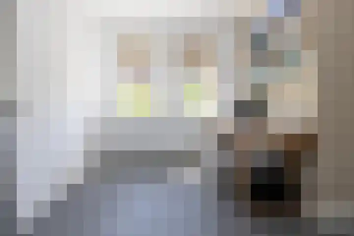 Korbeel 2 Nunspeet thumbnail 36