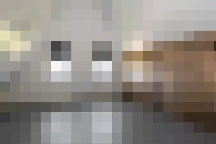 Korbeel 2 Nunspeet thumbnail 37