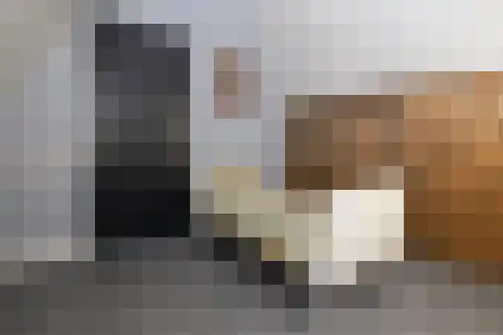 Korbeel 2 Nunspeet thumbnail 38