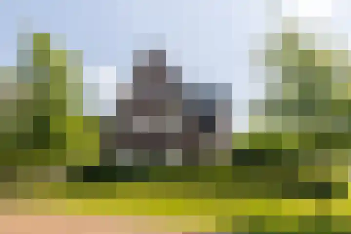 Korbeel 2 Nunspeet thumbnail 39
