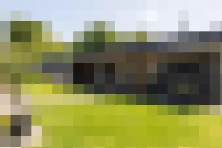 Korbeel 2 Nunspeet thumbnail 4