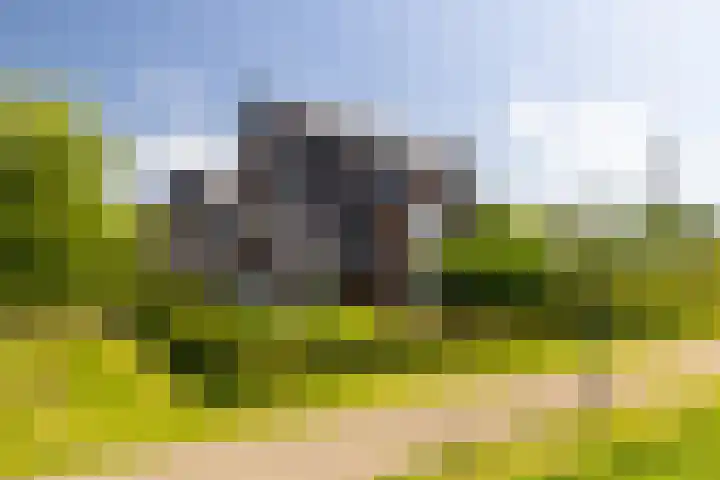 Korbeel 2 Nunspeet thumbnail 41
