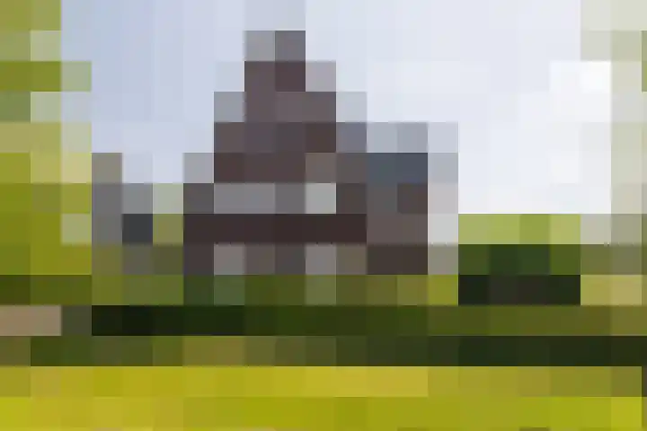 Korbeel 2 Nunspeet thumbnail 42