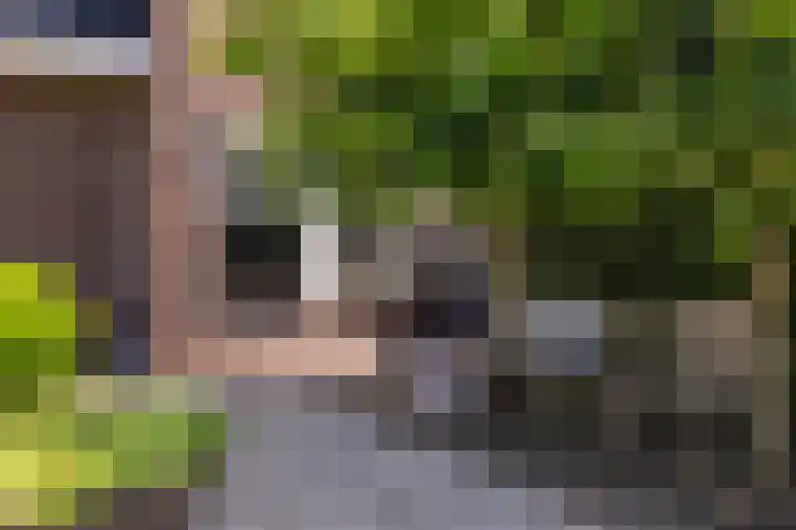 Korbeel 2 Nunspeet thumbnail 43