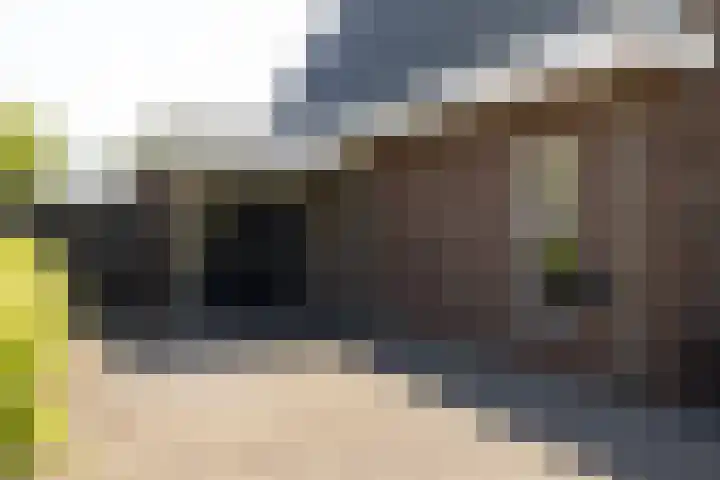 Korbeel 2 Nunspeet thumbnail 45