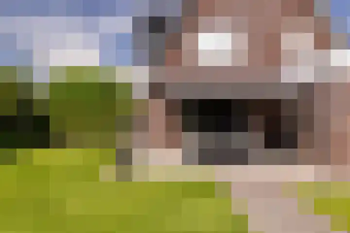Korbeel 2 Nunspeet thumbnail 46