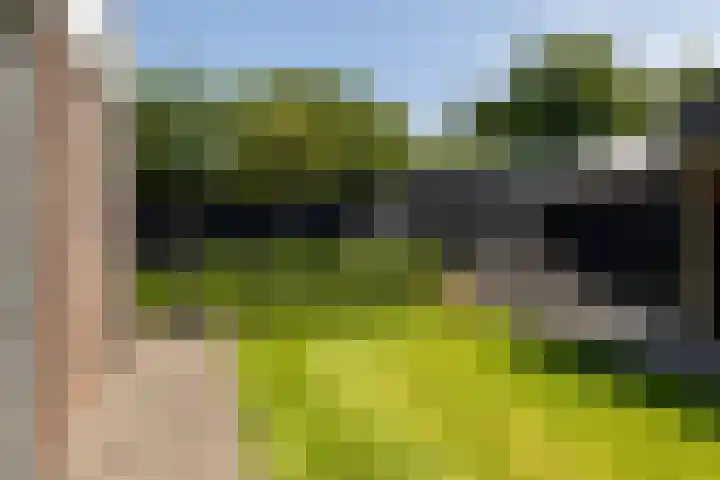 Korbeel 2 Nunspeet thumbnail 49