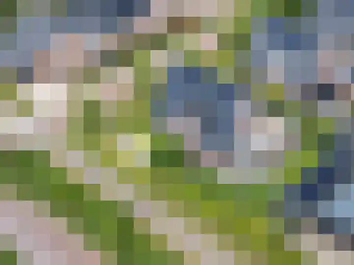 Korbeel 2 Nunspeet thumbnail 5