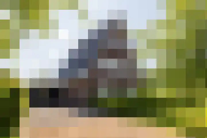 Korbeel 2 Nunspeet thumbnail 51