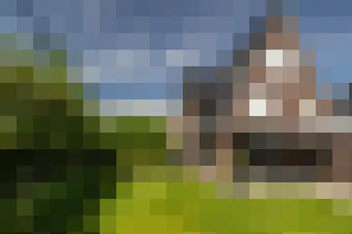 Korbeel 2 Nunspeet thumbnail 6