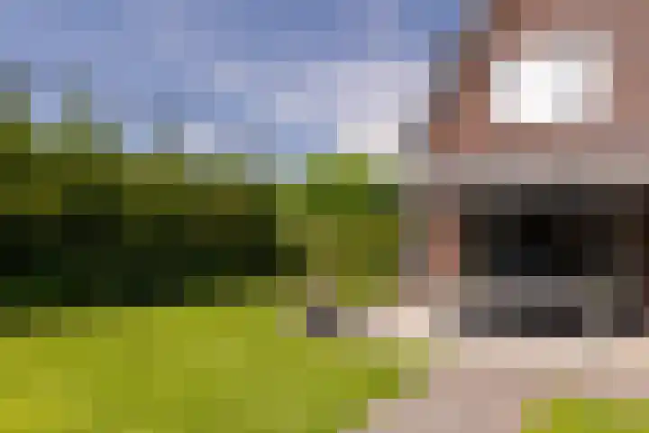 Korbeel 2 Nunspeet thumbnail 8
