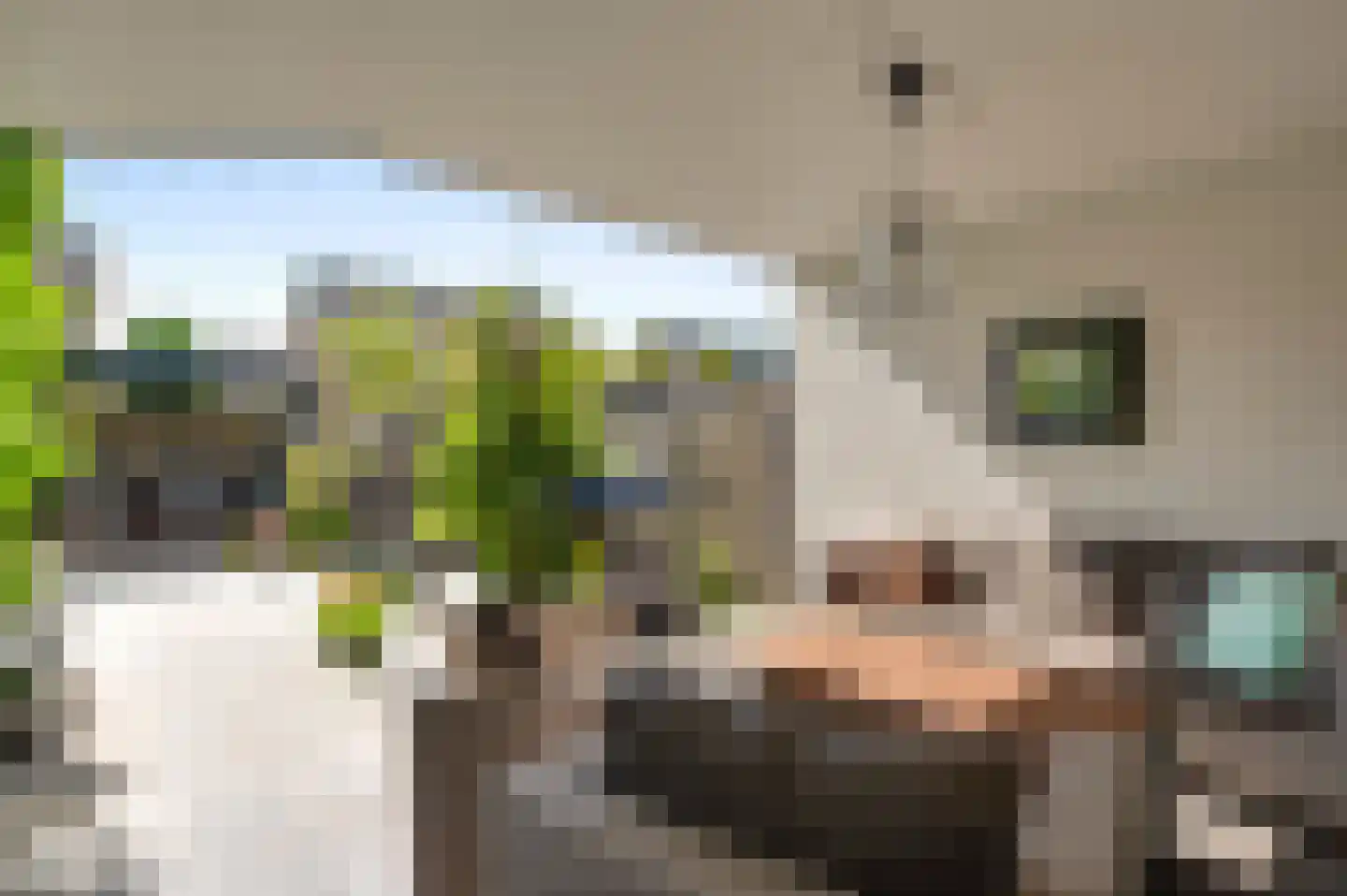 Korbeel 20 Weert thumbnail 37