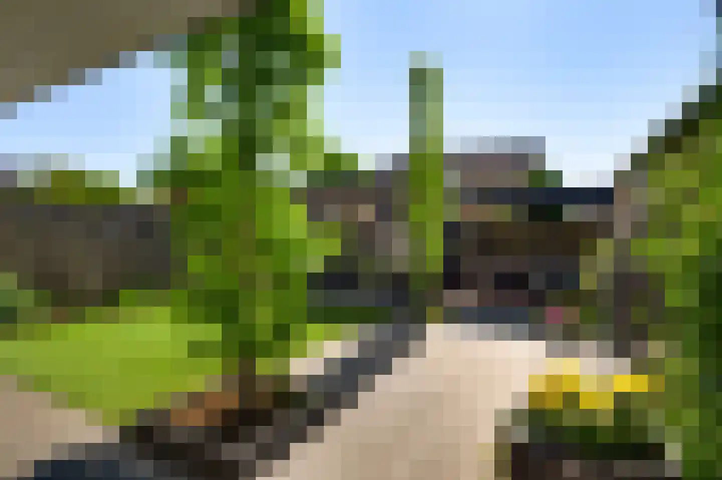 Korbeel 20 Weert thumbnail 40