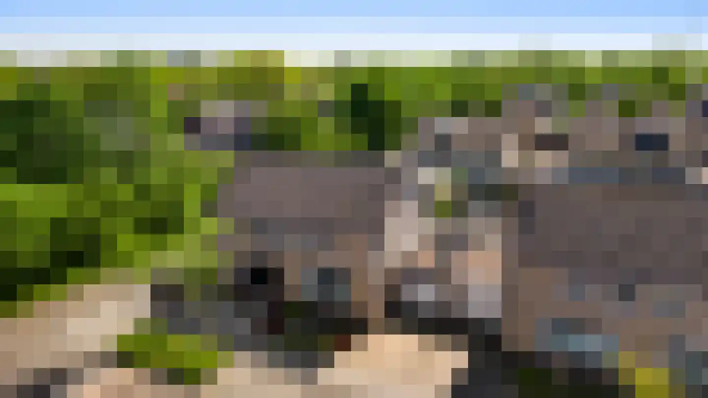 Korbeel 20 Weert thumbnail 49