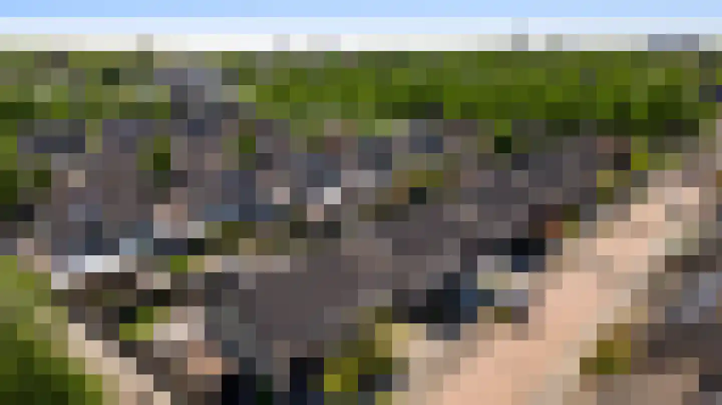Korbeel 20 Weert thumbnail 50