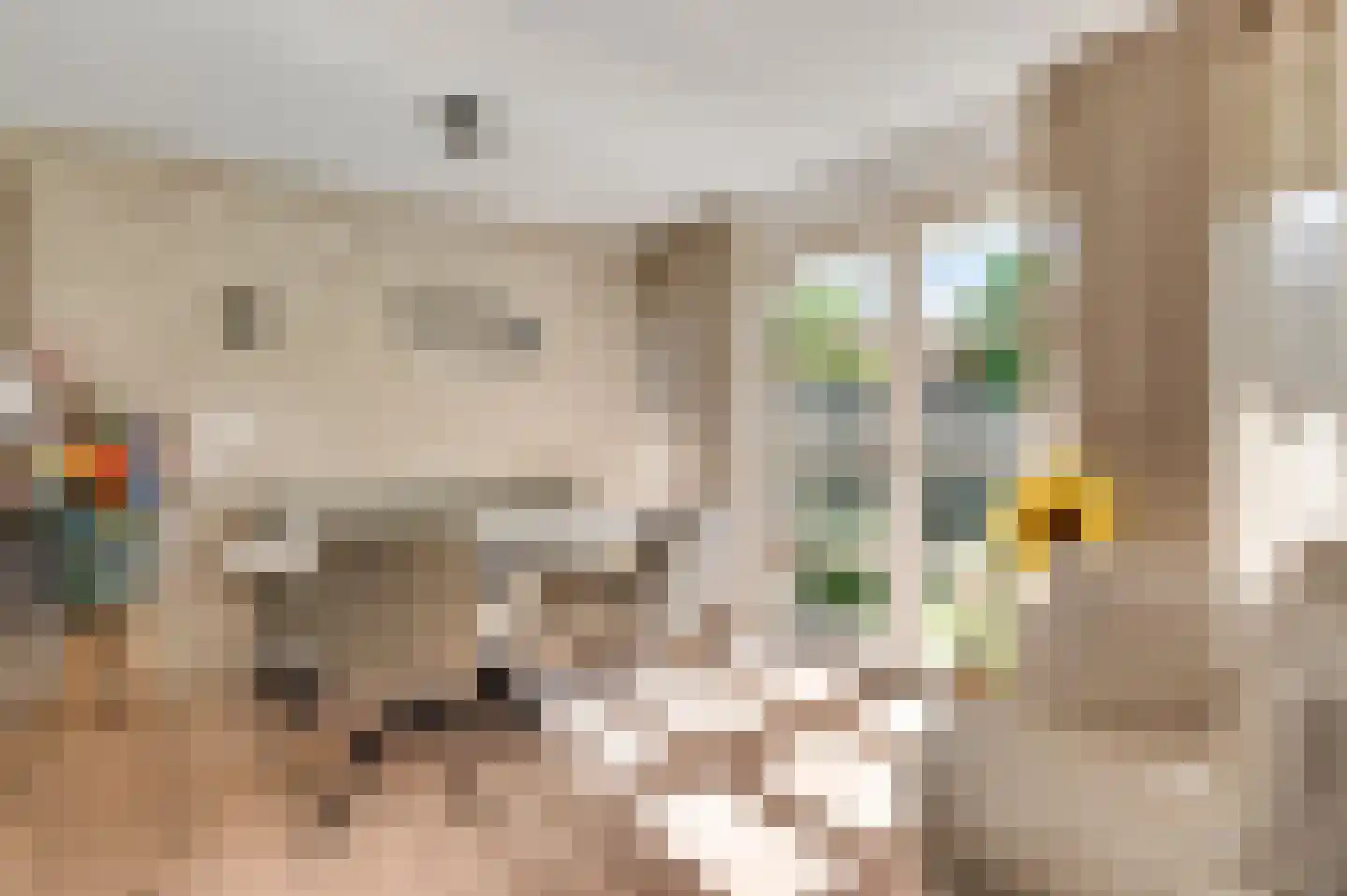 Korbeel 20 Weert thumbnail 9
